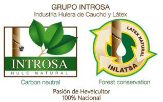 Introsa Logo